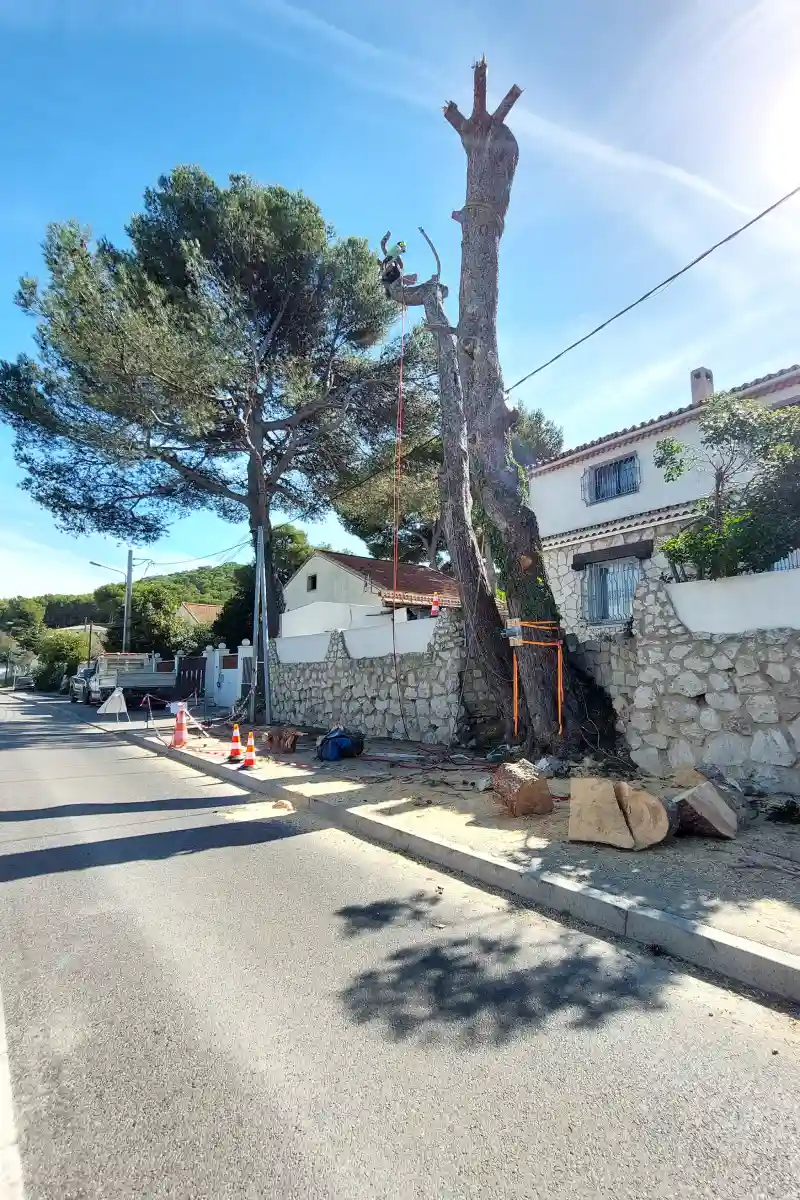 Foakal Abattage D Arbre Aix En Provence Realisation 38