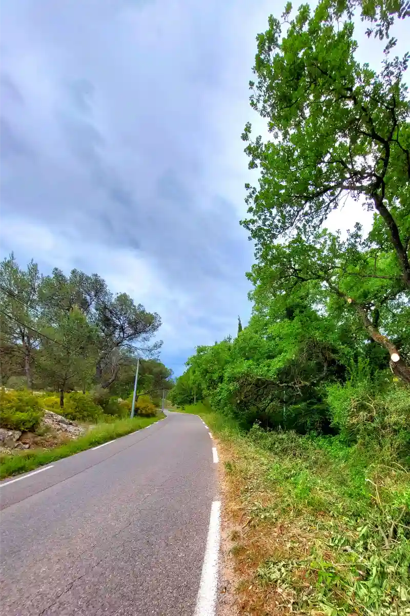 Foakal Abattage D Arbre Aix En Provence Realisation 57
